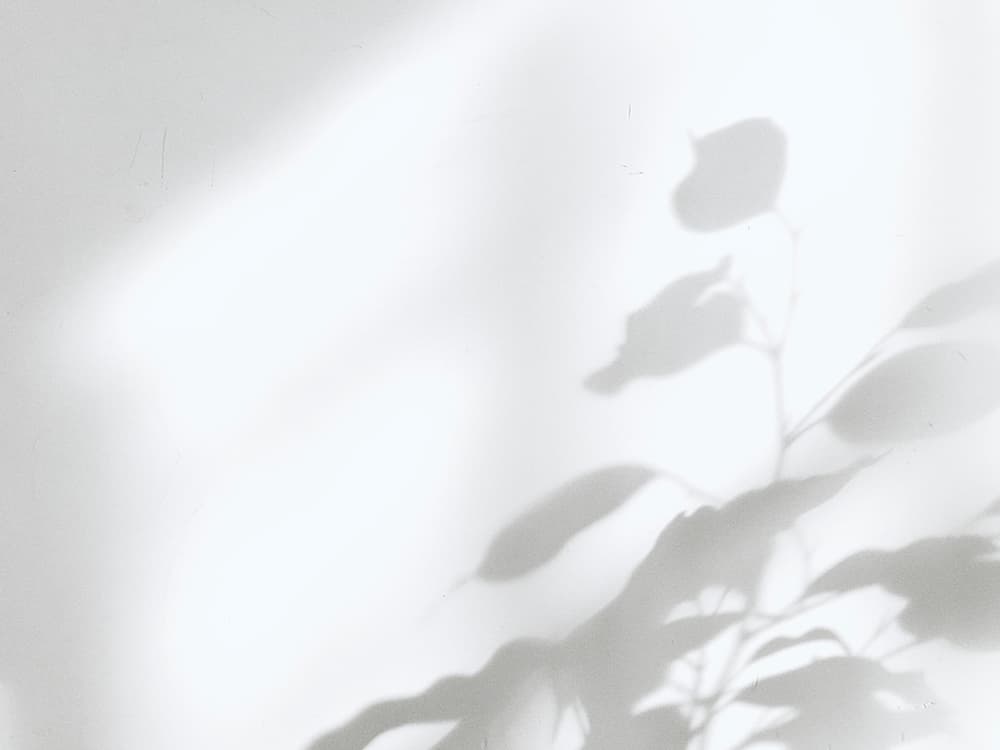 kemi-cover-image