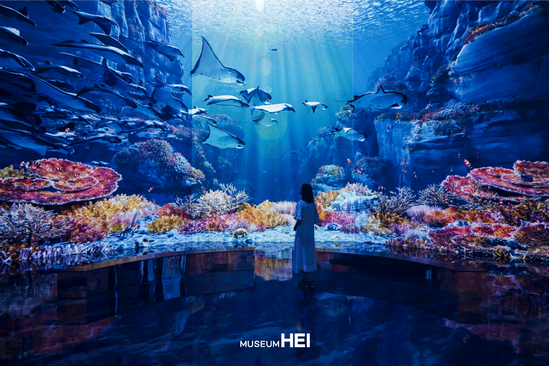 kemi-cover-image